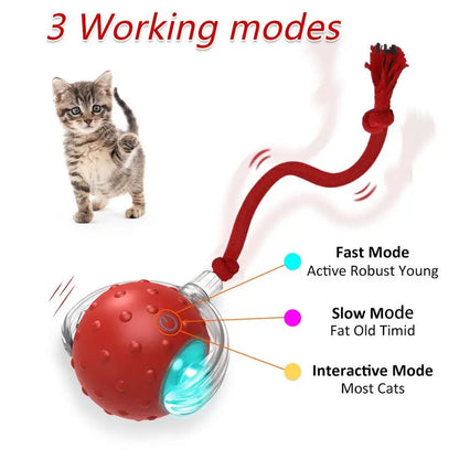 Automatic Interactive Cat Toy Ball - Fast Rolling, Chirping & Motion-Activated Fun for Indoor Cats