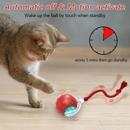 Automatic Interactive Cat Toy Ball - Fast Rolling, Chirping & Motion-Activated Fun for Indoor Cats