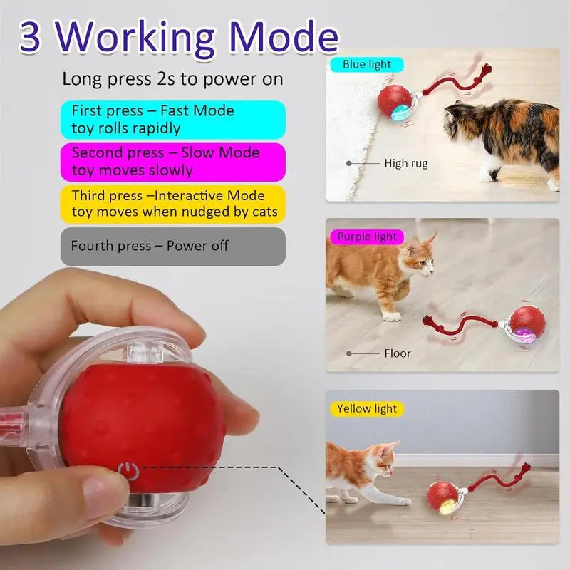 Automatic Interactive Cat Toy Ball - Fast Rolling, Chirping & Motion-Activated Fun for Indoor Cats
